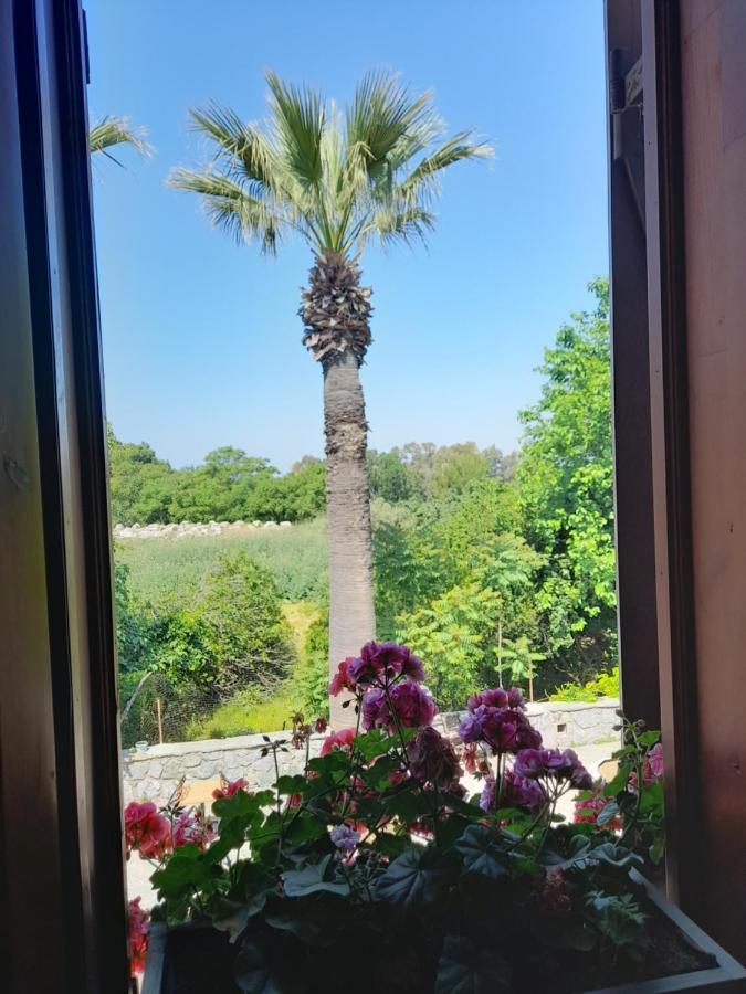 Casa Callinos Bed and Breakfast Selçuk Buitenkant foto